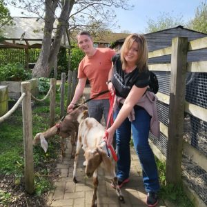 Farm Animal Experience