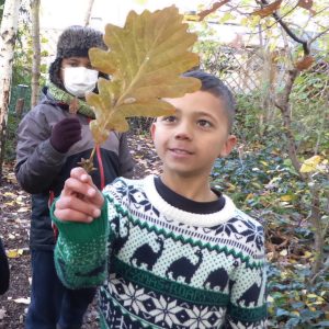 Forest School Taster Sessions